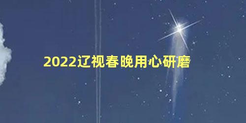2022辽视春晚用心研磨