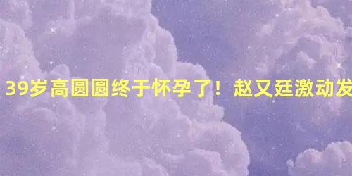 39岁高圆圆终于怀孕了！赵又廷激动发博
