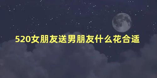 520女朋友送男朋友什么花合适