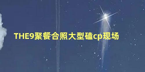 THE9聚餐合照大型磕cp现场