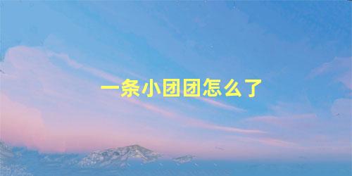 一条小团团怎么了