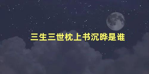 三生三世枕上书沉晔是谁