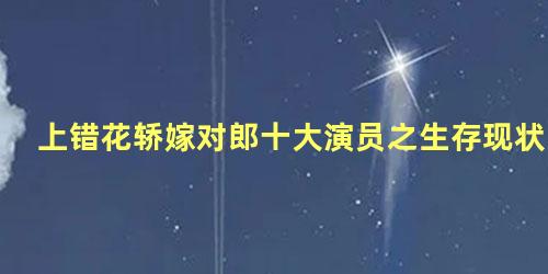 上错花轿嫁对郎十大演员之生存现状