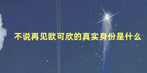 不说再见欧可欣的真实身份是什么