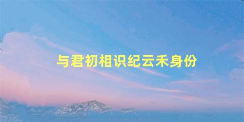 与君初相识纪云禾身份