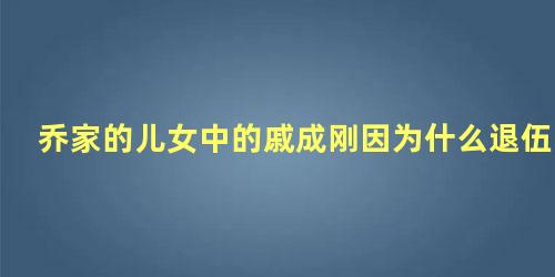 乔家的儿女中的戚成刚因为什么退伍