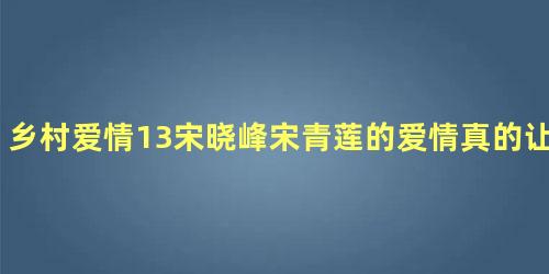 乡村爱情13宋晓峰宋青莲的爱情真的让人羡慕吗？