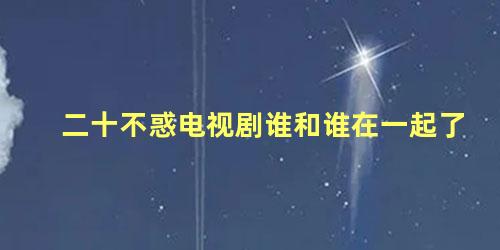 二十不惑电视剧谁和谁在一起了