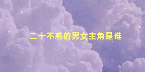 二十不惑的男女主角是谁