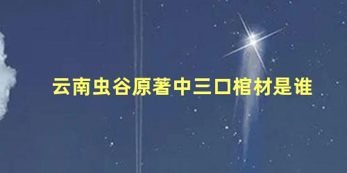 云南虫谷原著中三口棺材是谁