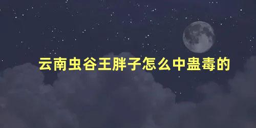 云南虫谷王胖子怎么中蛊毒的