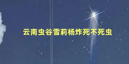 云南虫谷雪莉杨炸死不死虫