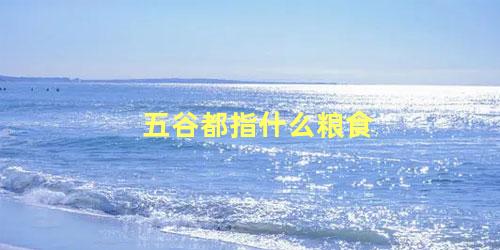 五谷都指什么粮食