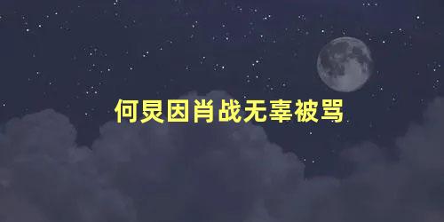何炅因肖战无辜被骂