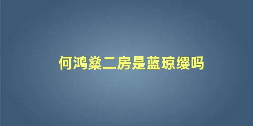 何鸿燊二房是蓝琼缨吗