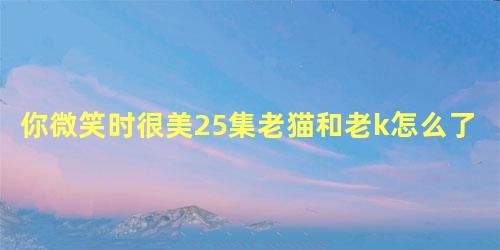 你微笑时很美25集老猫和老k怎么了