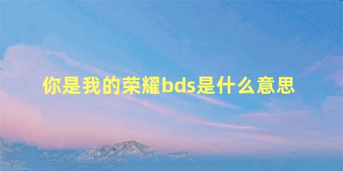 你是我的荣耀bds是什么意思