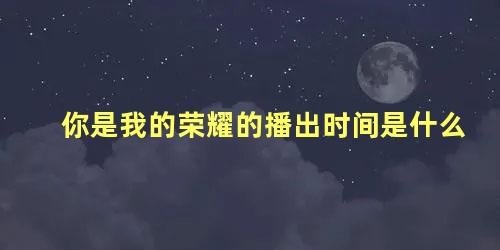 你是我的荣耀的播出时间是什么