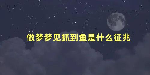 做梦梦见抓到鱼是什么征兆