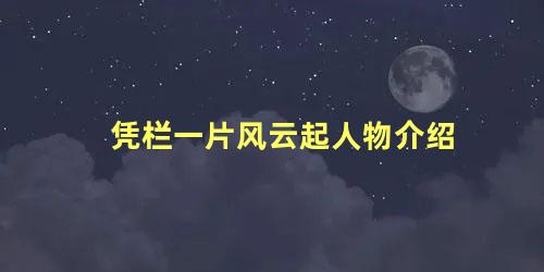 凭栏一片风云起人物介绍