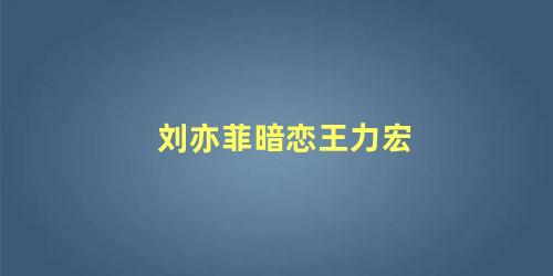 刘亦菲暗恋王力宏