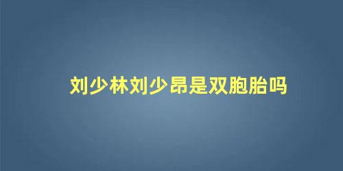 刘少林刘少昂是双胞胎吗