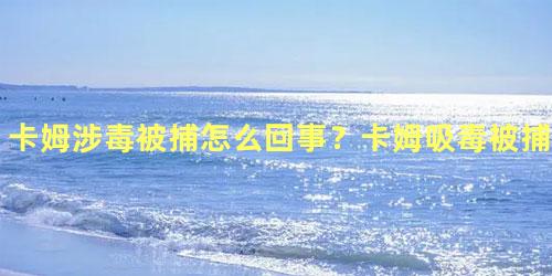 卡姆涉毒被捕怎么回事？卡姆吸毒被捕事件始末