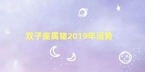 双子座属猪2019年运势