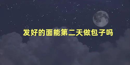 发好的面能第二天做包子吗