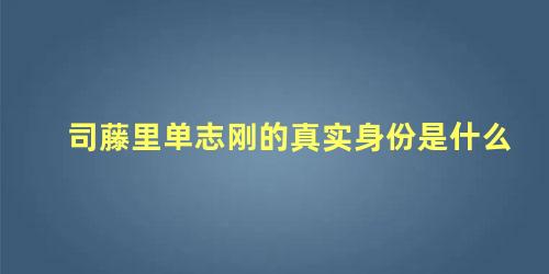司藤里单志刚的真实身份是什么