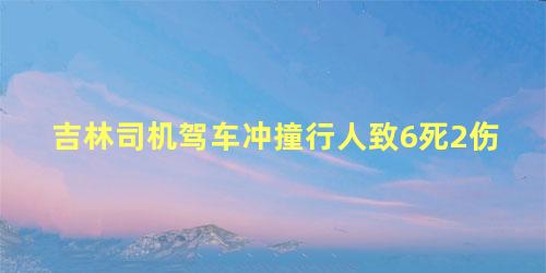 吉林司机驾车冲撞行人致6死2伤