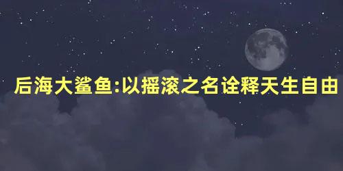 后海大鲨鱼:以摇滚之名诠释天生自由 后海大鲨鱼:以摇滚之名诠释天生自由