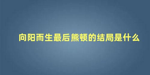 向阳而生最后熊顿的结局是什么