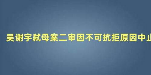 吴谢宇弑母案二审因不可抗拒原因中止