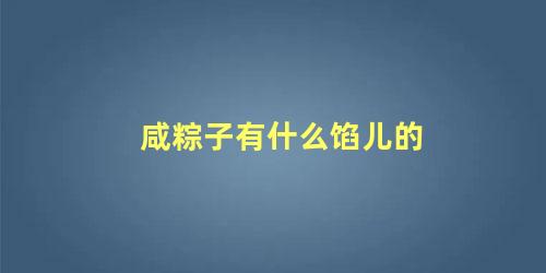 咸粽子有什么馅儿的