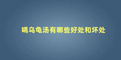 喝乌龟汤有哪些好处和坏处