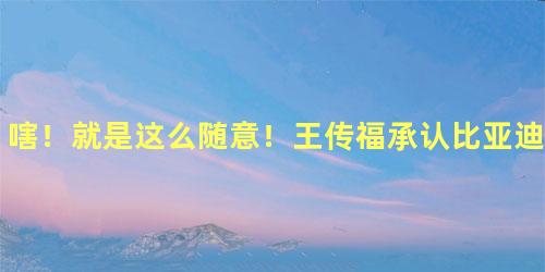 嗐！就是这么随意！王传福承认比亚迪名字瞎编的