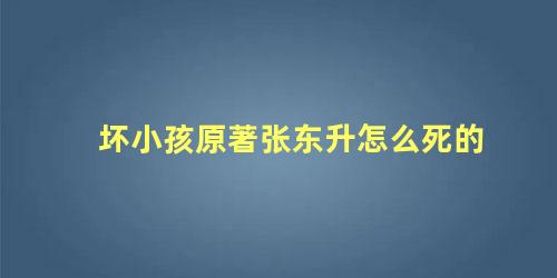 坏小孩原著张东升怎么死的