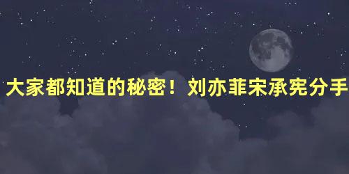 大家都知道的秘密！刘亦菲宋承宪分手：行程太繁忙