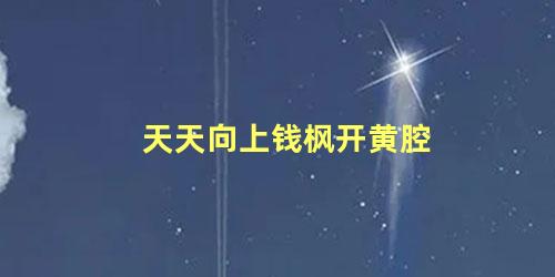 天天向上钱枫开黄腔