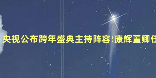 央视公布跨年盛典主持阵容:康辉董卿任鲁豫朱迅等