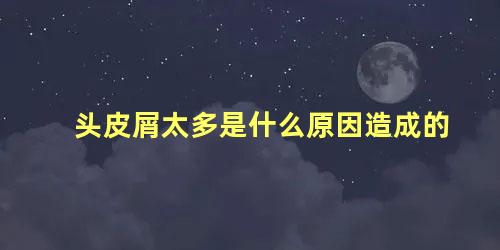 头皮屑太多是什么原因造成的