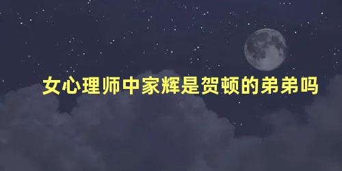 女心理师中家辉是贺顿的弟弟吗