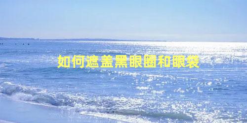 如何遮盖黑眼圈和眼袋