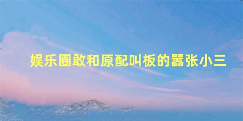 娱乐圈敢和原配叫板的嚣张小三