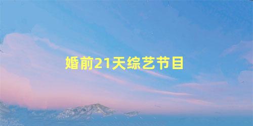 婚前21天综艺节目