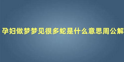 孕妇做梦梦见很多蛇是什么意思周公解梦