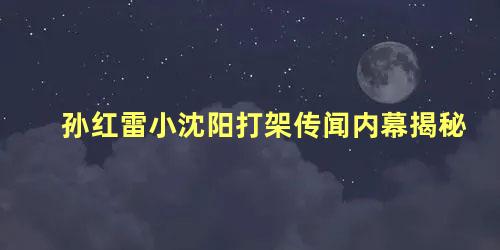 孙红雷小沈阳打架传闻内幕揭秘