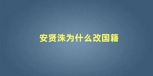 安贤洙为什么改国籍