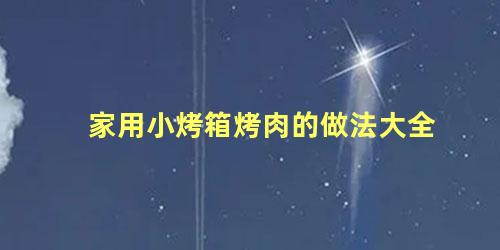 家用小烤箱烤肉的做法大全